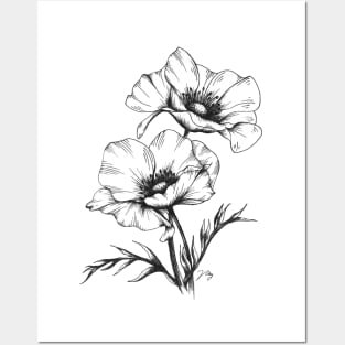 Anemone Flowers Posters and Art